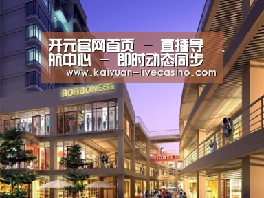 案例展示一