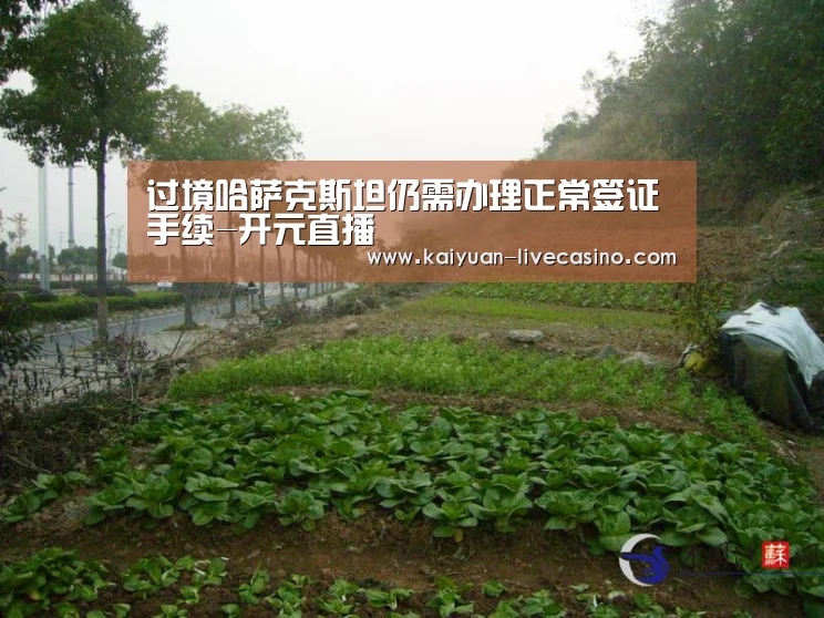 过境哈萨克斯坦仍需办理正常签证手续-开元直播(图2) 开元直播